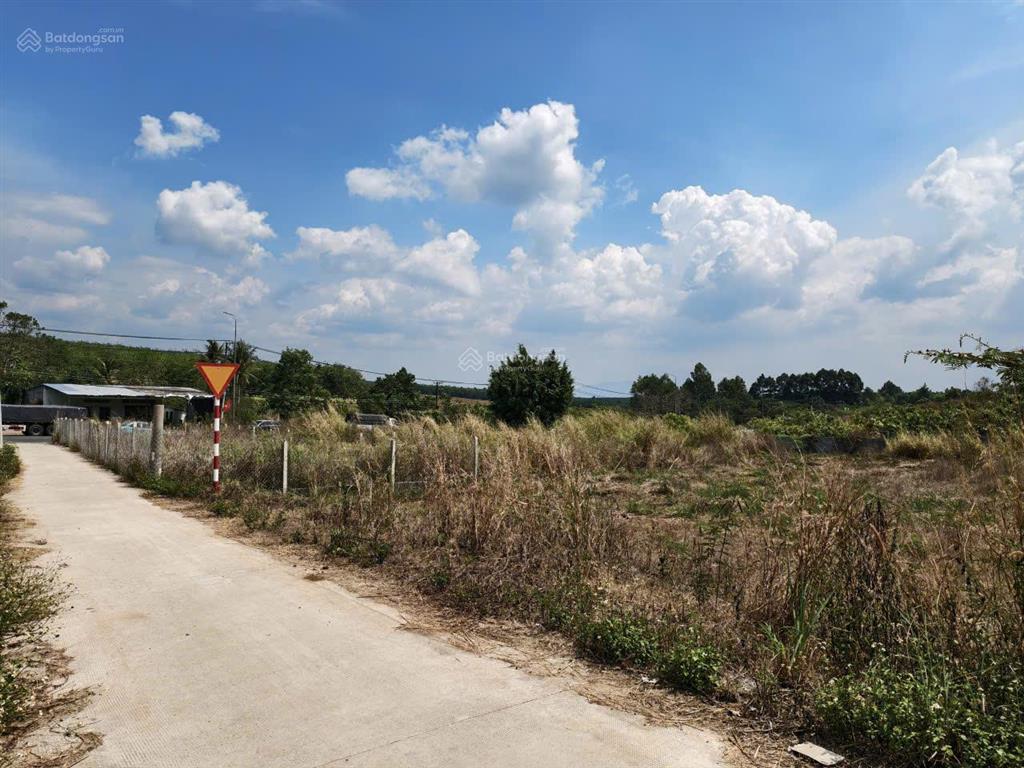 Bán đất mặt tiền đường bê tông la ngà, định quán, đồng nai  200m²  gần ql20