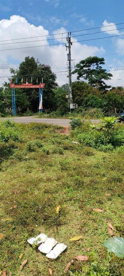 Đất mặt tiền nhựa 10m, trung tâm dân cư  472m² có thổ cư  sổ hồng riêng sang tên ngay.