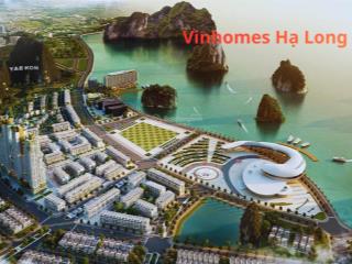 Siêu dự án tỷ đô nơi khách du lịch quốc tế đều nhắc đến khi nói về việt nam vinhomes hạ long xanh