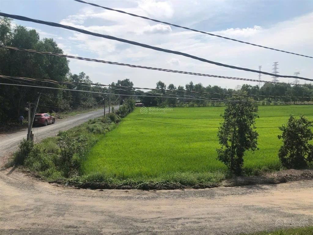 Cần bán 3200m đất hoà khánh đông  đức hoà  long an giá 6 triệu/m2