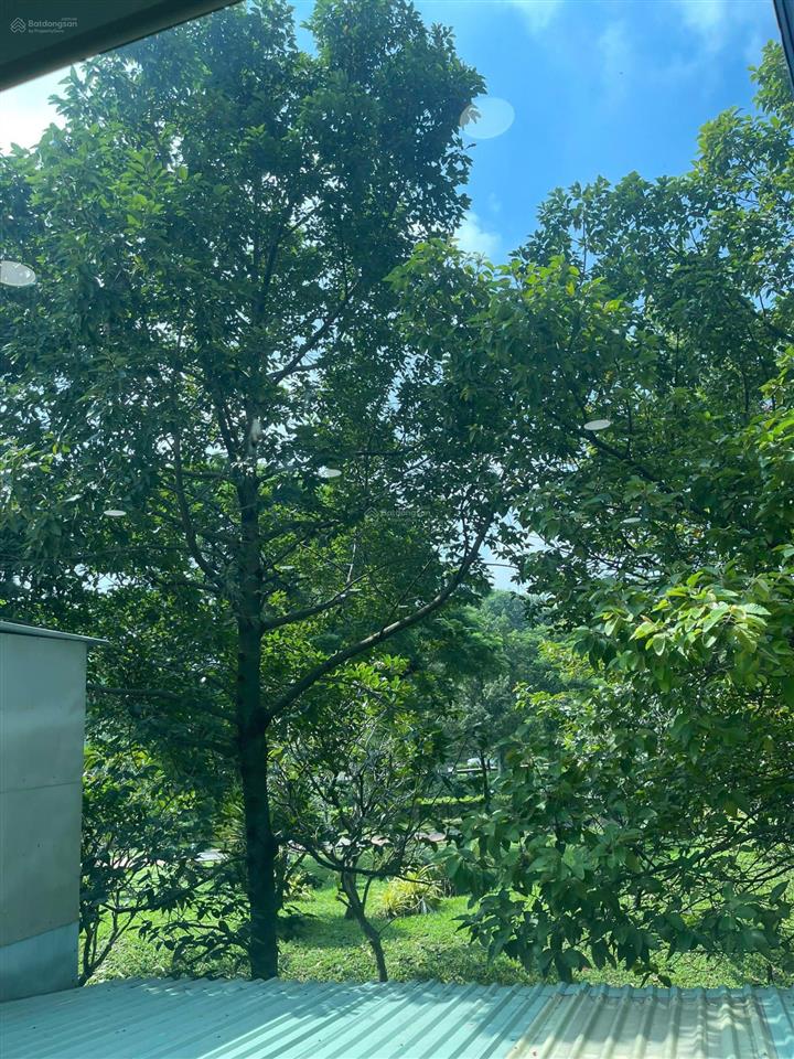 Chính chủ cho thuê văn phòng 50m2 đẹp mặt tiền đường bạch đằng tân bình, view công viên thoáng mát