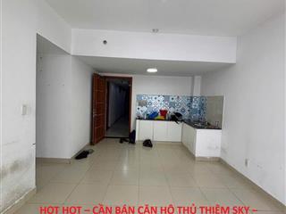 HOT HOT – CẦN BÁN CĂN HỘ THỦ THIÊM SKY – VIEW SÔNG SÀI GÒN – GIÁ TỐT – Tại Đường Nguyễn