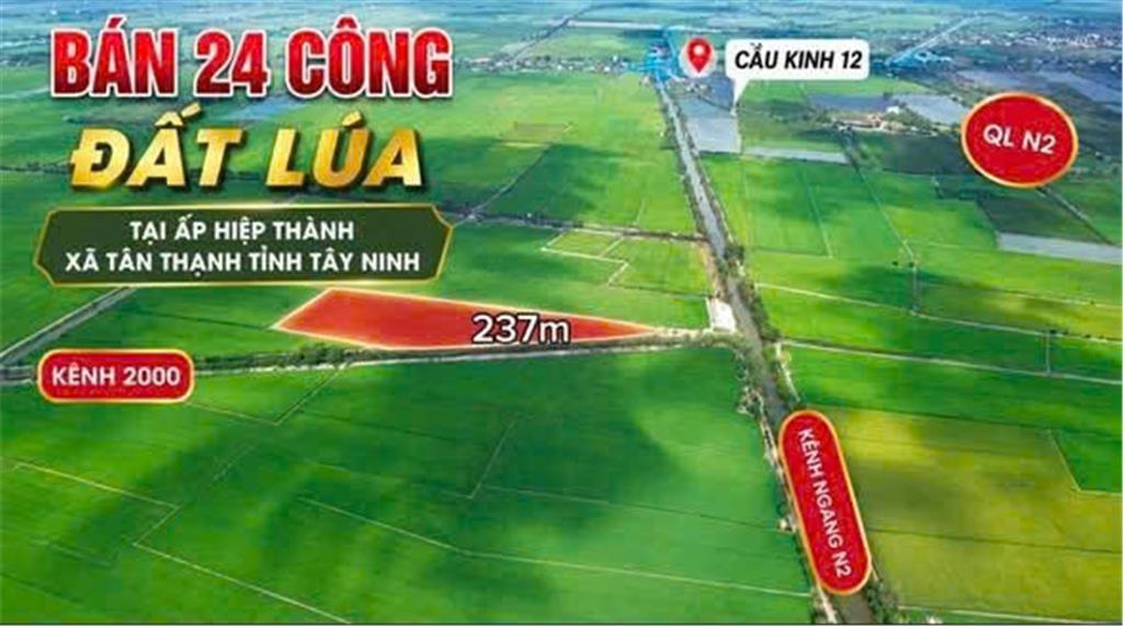 ĐẤT ĐẸP – ĐẦU TƯ SINH LỜI – CẦN BÁN 3 LÔ ĐẤT GIÁ TỐT – Ấp Hiệp Thành, Xã Tân Thạnh, Tây