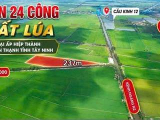 ĐẤT ĐẸP – ĐẦU TƯ SINH LỜI – CẦN BÁN 3 LÔ ĐẤT GIÁ TỐT – Ấp Hiệp Thành, Xã Tân Thạnh, Tây
