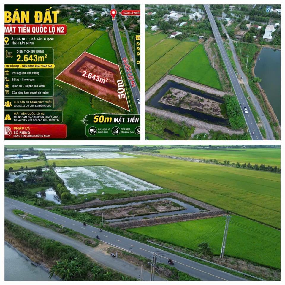 ĐẤT ĐẸP – ĐẦU TƯ SINH LỜI – CẦN BÁN 3 LÔ ĐẤT GIÁ TỐT – Ấp Hiệp Thành, Xã Tân Thạnh, Tây