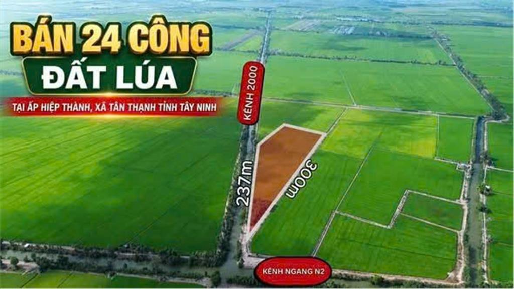 ĐẤT ĐẸP – ĐẦU TƯ SINH LỜI – CẦN BÁN 3 LÔ ĐẤT GIÁ TỐT – Ấp Hiệp Thành, Xã Tân Thạnh, Tây