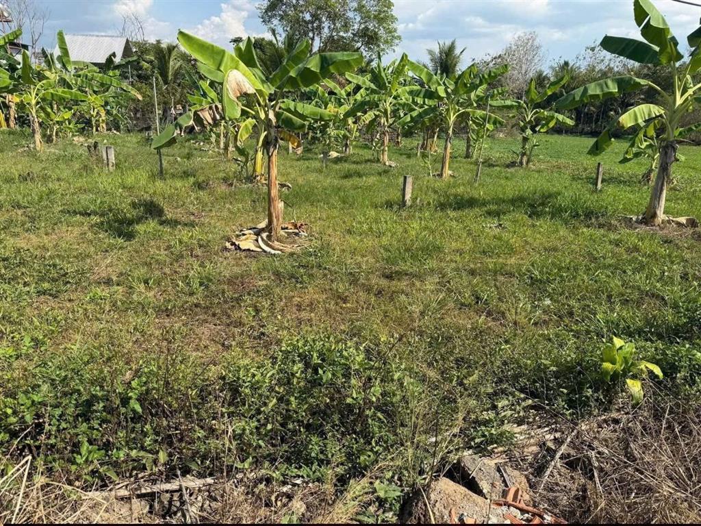 ĐẦU TƯ SINH LỜI - CHÍNH CHỦ CẦN BÁN 2 LÔ ĐẤT ĐẸP Tại Ấp 3, xã GIA CANH, huyện ĐỊNH QUÁN,