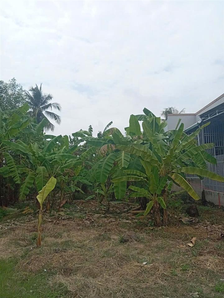 ĐẦU TƯ SINH LỜI - CHÍNH CHỦ CẦN BÁN 2 LÔ ĐẤT ĐẸP Tại Ấp 3, xã GIA CANH, huyện ĐỊNH QUÁN,