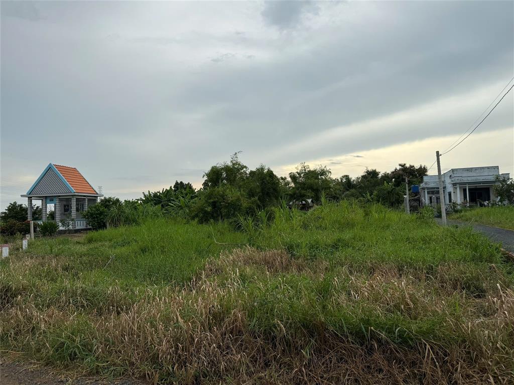 ĐẤT CHÍNH CHỦ - GIÁ TỐT Cần Bán Tại Bờ Mồi, Xã Phước Tuy, Huyện Cần Đước, Long An