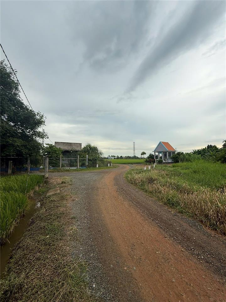 ĐẤT CHÍNH CHỦ - GIÁ TỐT Cần Bán Tại Bờ Mồi, Xã Phước Tuy, Huyện Cần Đước, Long An