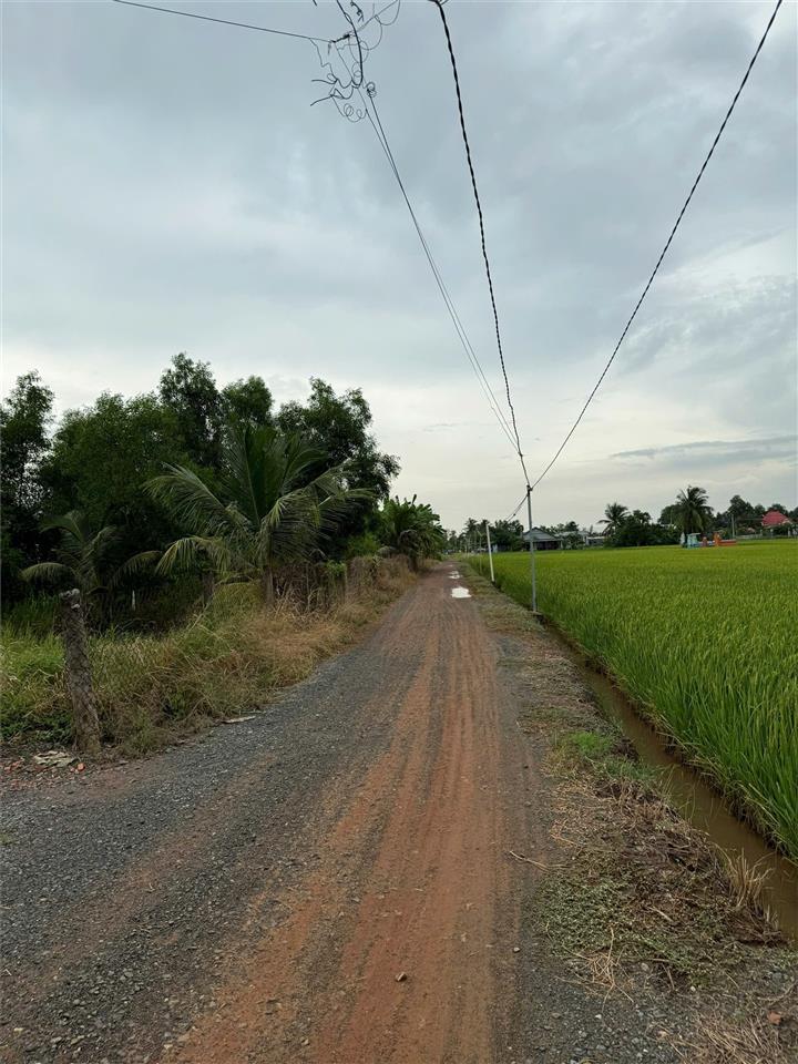 ĐẤT CHÍNH CHỦ - GIÁ TỐT Cần Bán Tại Bờ Mồi, Xã Phước Tuy, Huyện Cần Đước, Long An