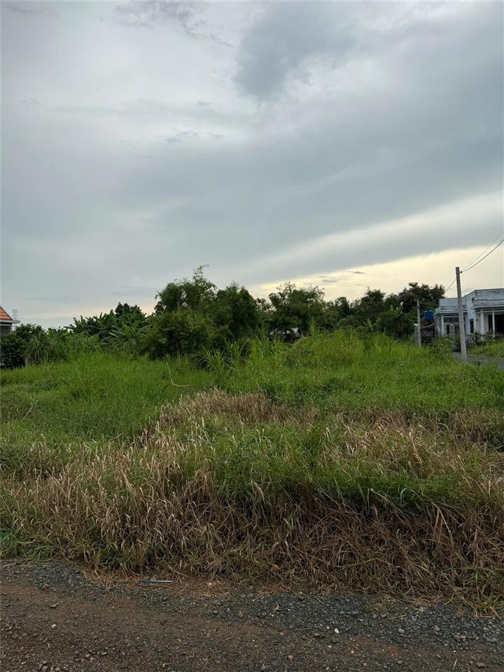 ĐẤT CHÍNH CHỦ - GIÁ TỐT Cần Bán Tại Bờ Mồi, Xã Phước Tuy, Huyện Cần Đước, Long An