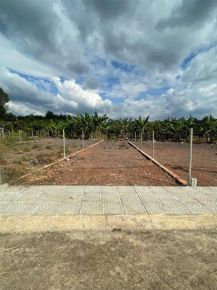 BÁN ĐẤT 134.8 m² có 98m² thổ cư, SHR tại phường Dầu Giây (Hưng Lộc cũ)