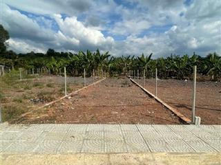 BÁN ĐẤT 134.8 m² có 98m² thổ cư, SHR tại phường Dầu Giây (Hưng Lộc cũ)