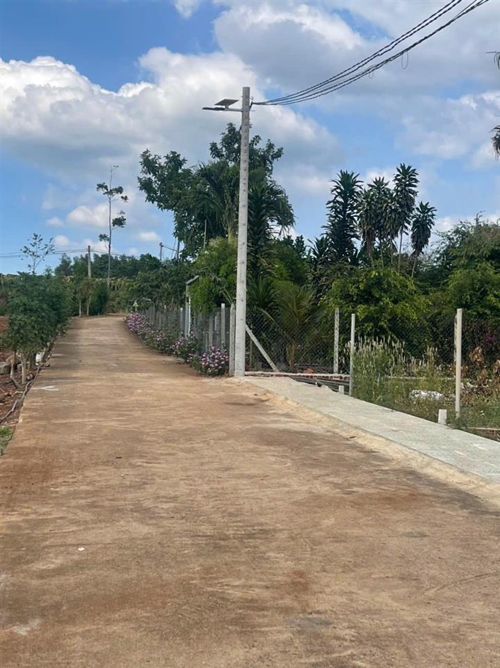BÁN ĐẤT 134.8 m² có 98m² thổ cư, SHR tại phường Dầu Giây (Hưng Lộc cũ)