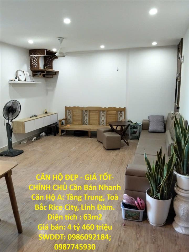 CĂN HỘ ĐẸP - GIÁ TỐT- CHÍNH CHỦ Cần Bán Nhanh Căn Hộ A: Tầng Trung, Toà Bắc Rice City,