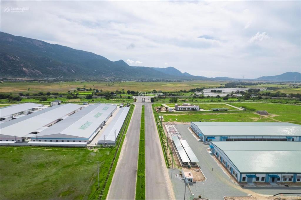 Bán đất 6.000m2 cụm cn jutech giá tốt nhất thị trường