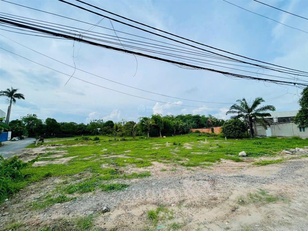 Chủ cần tiền ra gấp lô đất mt nguyễn văn khạ củ chi 441m2 giá chỉ 1ty6 có sẵn 80m2 thổ cư