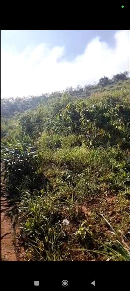 ĐẤT ĐỎ BAZAN – BÁN 2 LÔ – Làng Somei, Xã Đăk Somei, Huyện Đăk Đoa,  Gia Lai