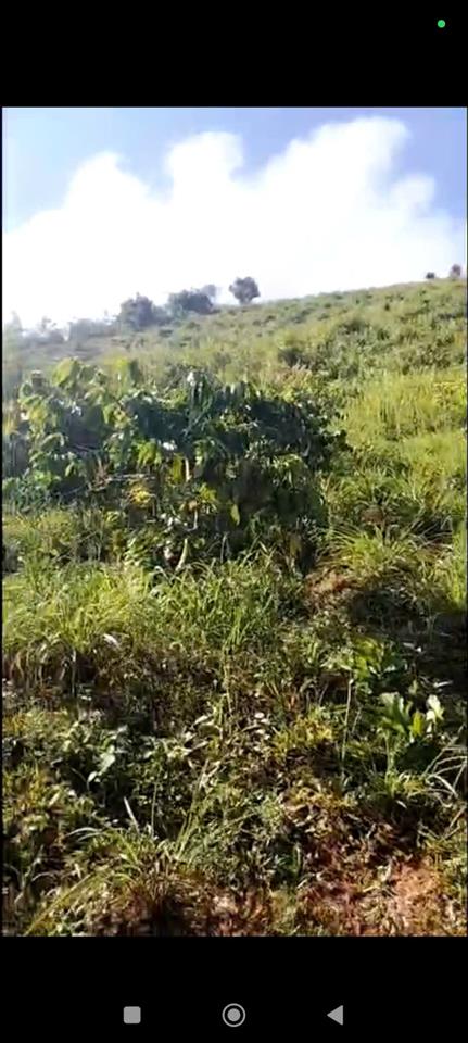 ĐẤT ĐỎ BAZAN – BÁN 2 LÔ – Làng Somei, Xã Đăk Somei, Huyện Đăk Đoa,  Gia Lai