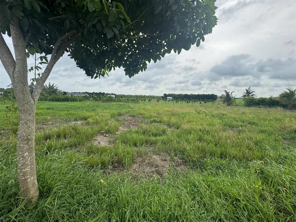 ĐẦU TƯ SINH LỜI - Chính Chủ Bán Lô Đất Mặt Tiền Đường huyện 40B  Xã Mỹ Lộc, Tam Bình,