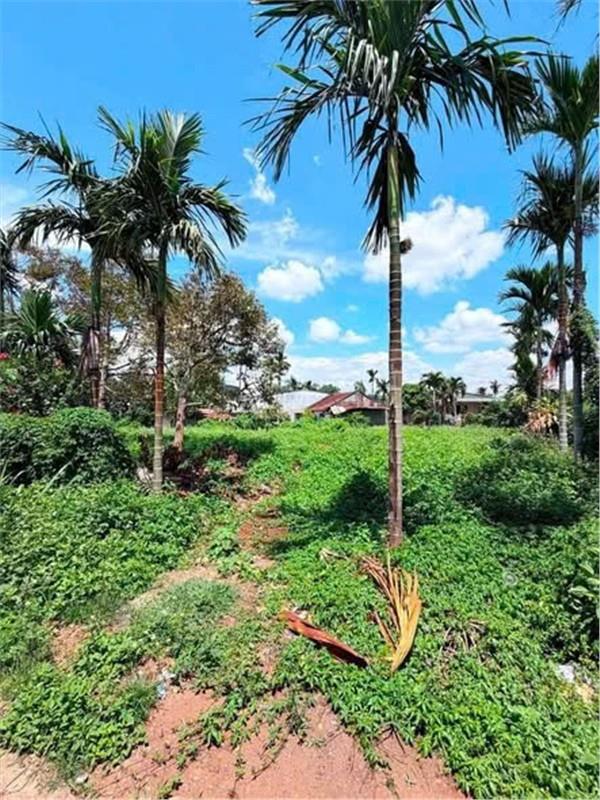 ĐẤT ĐẸP – GIÁ TỐT - CẦN BÁN NHANH 2 LÔ ĐẤT MẶT TIỀN TẠI Xã Ea Kênh, Huyện Krông Pắc, Tỉnh