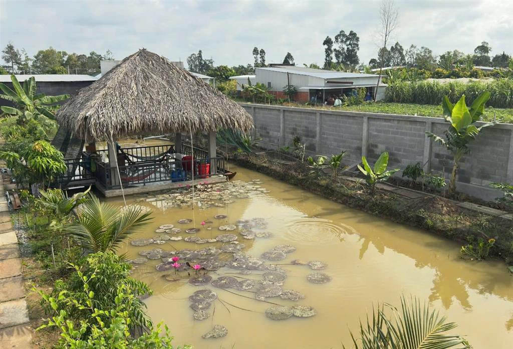 ĐẤT ĐẸP –  CẦN BÁN LÔ ĐẤT ĐẸP ĐỐI DIỆN TRUNG TÂM VĂN HOÁ THỂ THAO, ĐƯỜNG 1/5 Thị Trấn Lai
