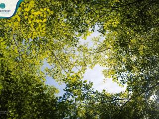 Cho thuê căn hộ ehome full nội thất giá 5,5tr/ tháng