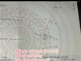 Làm ăn thua lỗ nên bán gấp nền đất sào 1000m2 (10*100). giá 290 triệu bao sổ. mặt tiền đường nhưa