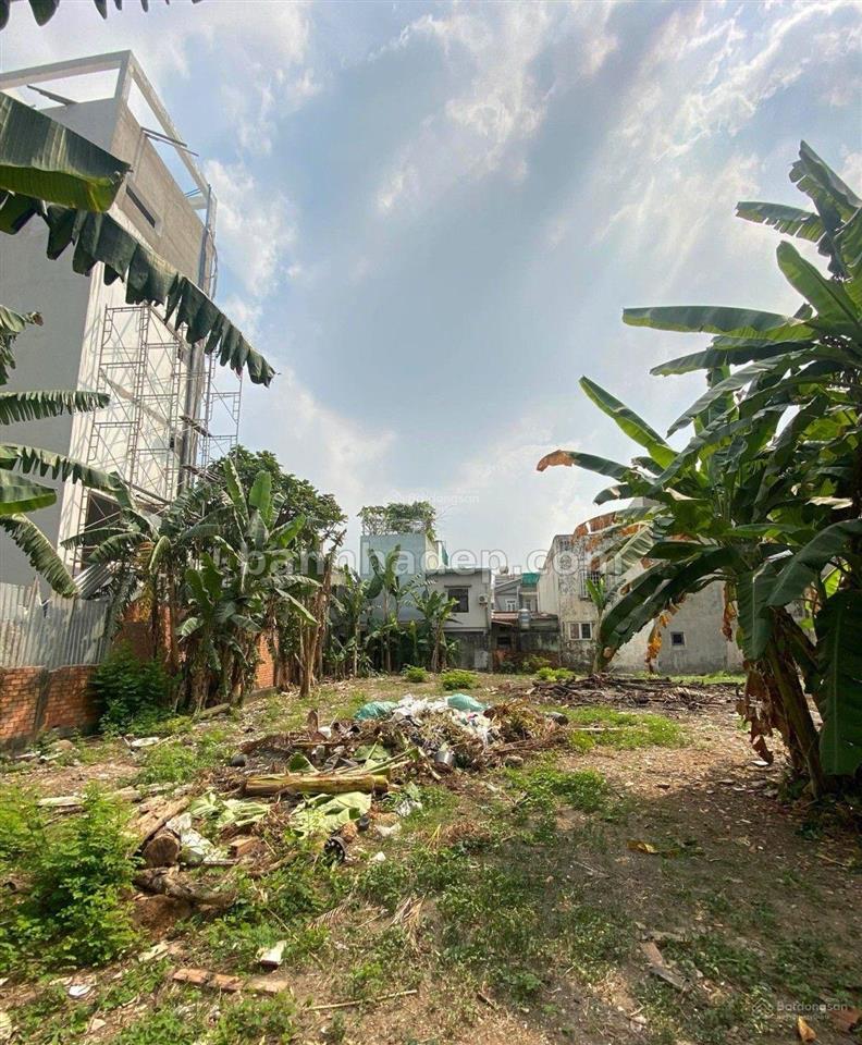 Bán nhà mặt tiền 652 lê trọng tấn, bình tân  dt 21 x 60m cn 2.325m²  giá 295 tỷ