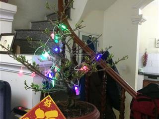 Cho thuê nhà riêng tại 16/38, thanh bình, hà đông, giá siêu hời 7 triệu, 120m2