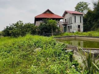 Bán gấp khu nhà vườn 2.500m có sẵn homestay(nhà sàn) + bể bơi giá chỉ nhỉnh 3 tỷ