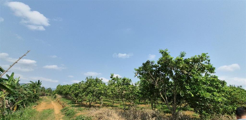 Lô đất hiếm gần kcn có sẵn dòng tiền giá chỉ 1.2 tỷ!