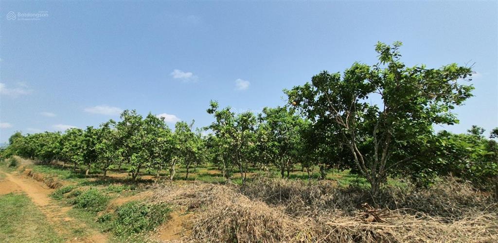 Lô đất hiếm gần kcn có sẵn dòng tiền giá chỉ 1.2 tỷ!