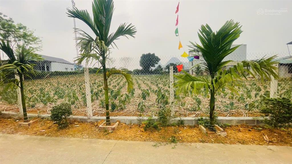 Bán đất trung tâm cao phong quỹ đất lớn, mặt tiền gần 50m, tiềm năng chia lô hoặc làm nghỉ dưỡng