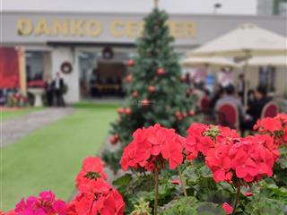 Bán nhà biệt thự đẹp tại danko center, giá siêu hời 10 tỷ, diện tích 250m2.