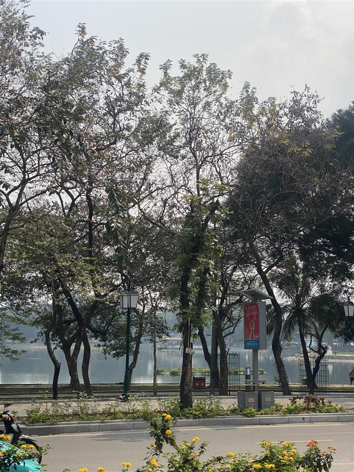 Một siêu phẩm mặt phố  lô góc  view công viên và hồ 7 mẫu  7 tầng, thang máy
