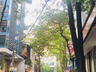 Bán nhà riêng tại hoàng quốc việt, 18,8 tỷ, 52m2, 6pn, 5wc, 5 tầng
