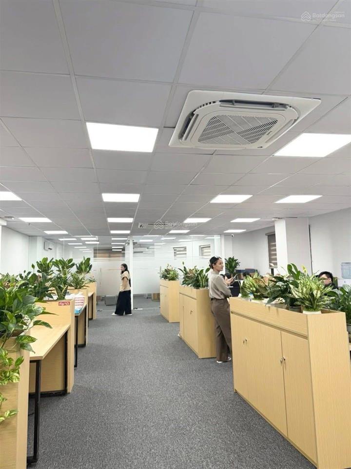 Bán tòa building dương khuê, dt 180m2 10t mt 24m lô góc đường 34ôtô tránh nhau