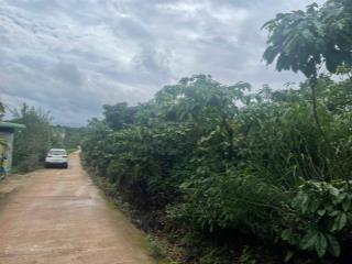 Chính chủ bán 500m đất mặt tiền đường bê tông tại nam ban, lâm hà