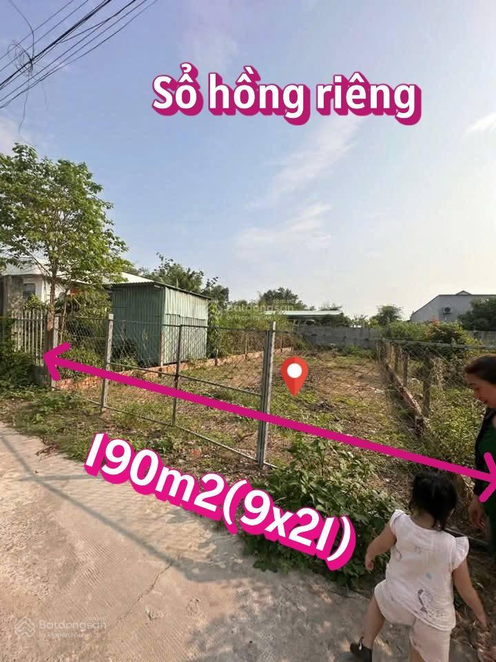 Bán gấp đất diện tích 190m2 giá 950tr đường bà thiên xã nhuận đức củ chi gần ủy ban  sổ hồng riêng