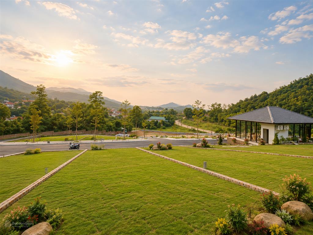 Siêu phẩm view hồ! bán đất phố tùng thiện, sơn tây, giá đầu tư 14tr/m2, 500m ra trục chính, đất odt