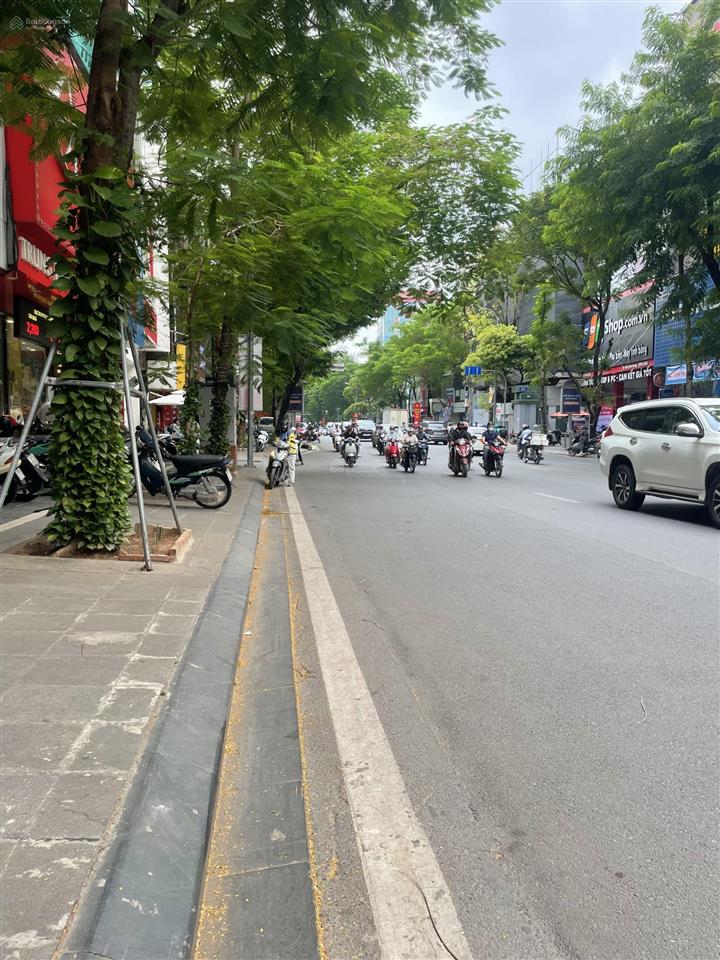 Nhà ngõ 161 thái hà 45m x 4t mt 3.9m, mặt ngõ chợ, siêu kinh doanh, ngõ ô tô thông. chỉ 16.x tỷ