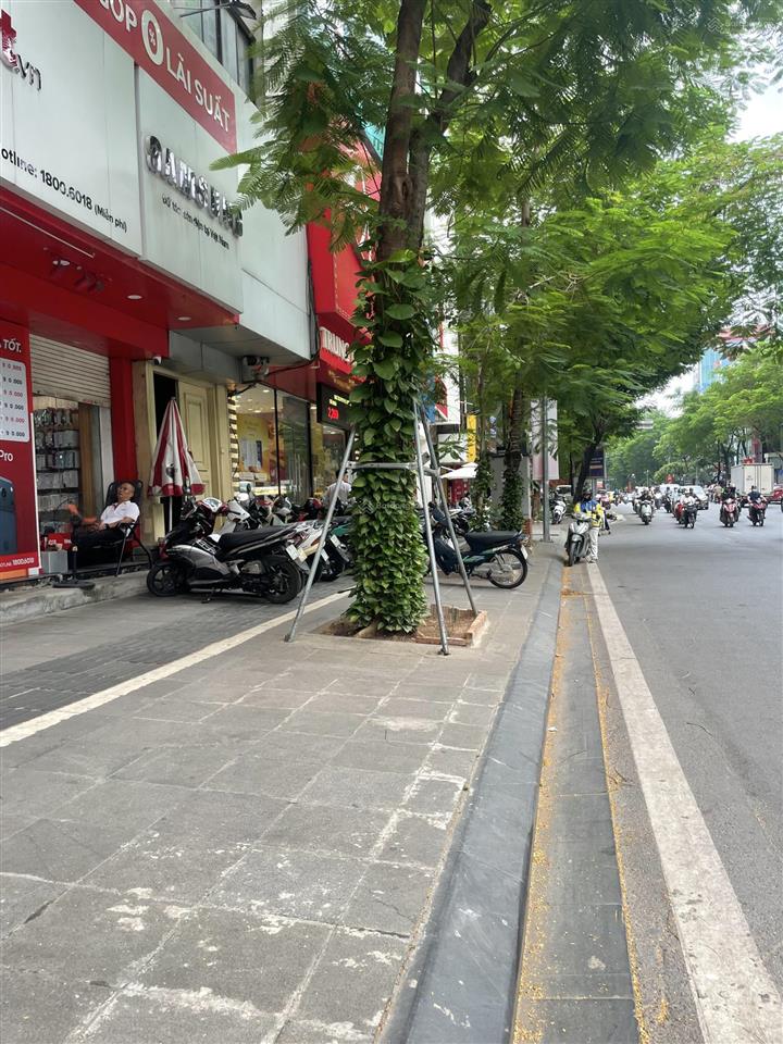 Nhà ngõ 161 thái hà 45m x 4t mt 3.9m, mặt ngõ chợ, siêu kinh doanh, ngõ ô tô thông. chỉ 16.x tỷ