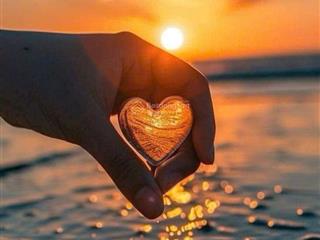 Bán nhà khu tđc đông hải, sát chợ gần biển tân trà