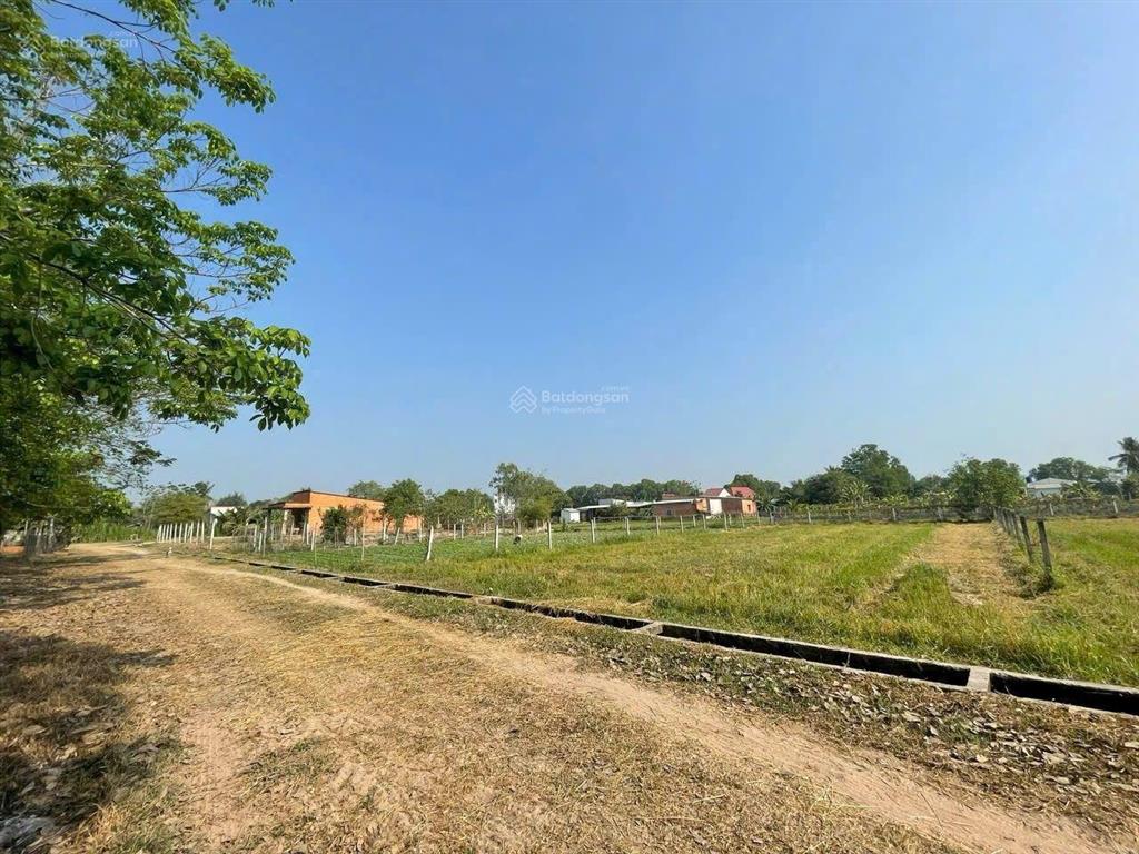 Bán đất vườn 561m2 mặt tiền lớn  shr  trung lập thượng củ chi