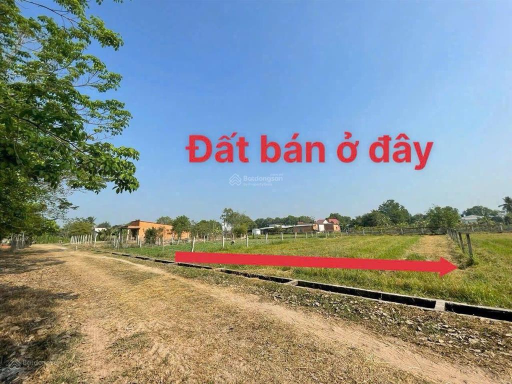 Bán đất vườn 561m2 mặt tiền lớn  shr  trung lập thượng củ chi