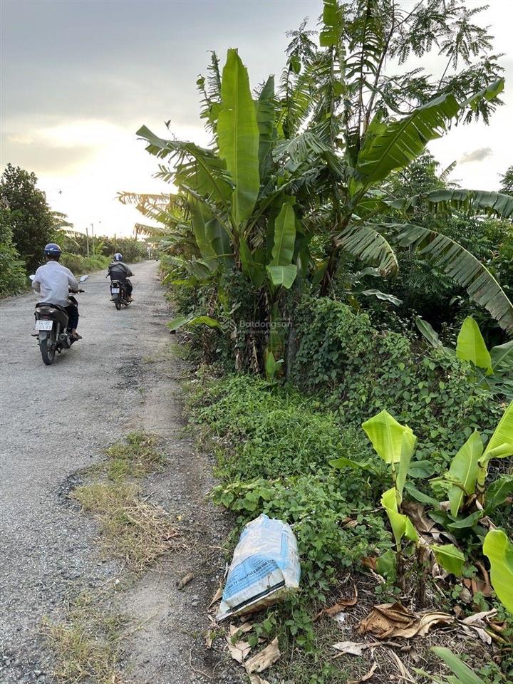 Bán 1.000 mét vuông đất, full thổ cư (1.000 mét vuông đất ở đô thị)