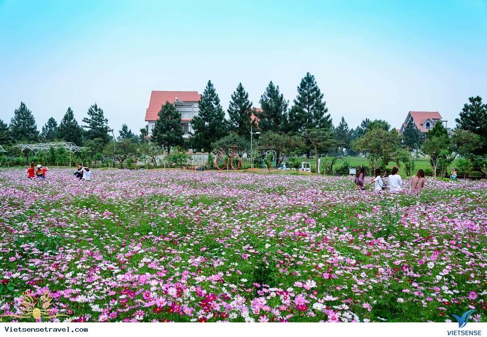 Chính chủ bán gấp  biệt thự sinh thái 200m2, mt 8m  the phoenix garden
