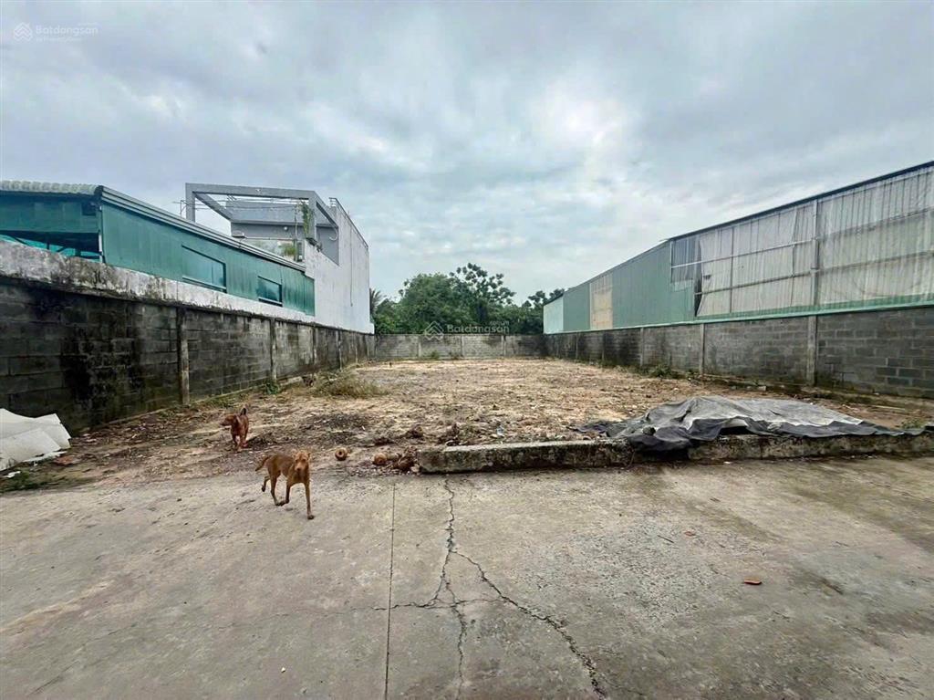 Bán lô đất thổ cư 5x30m, tân hiệp  hóc môn  giá 3.5 tỷ tl